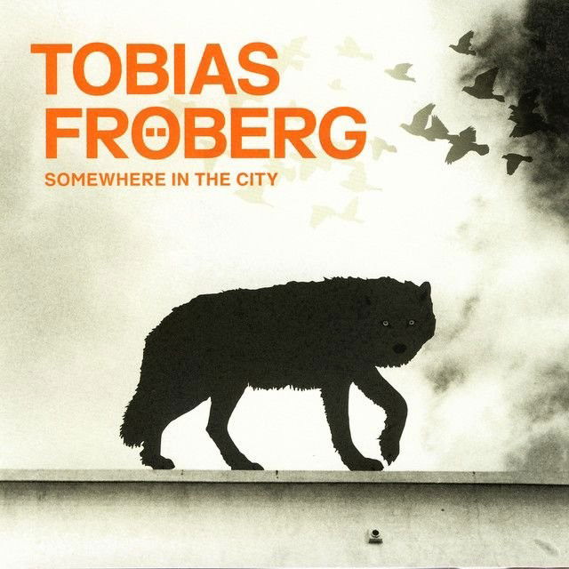 Tobias Fröberg profile