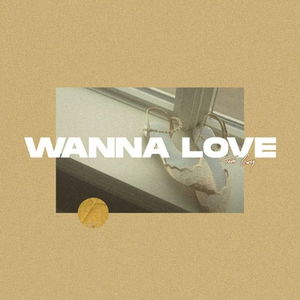 Wanna Love