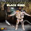 Black Bird cover