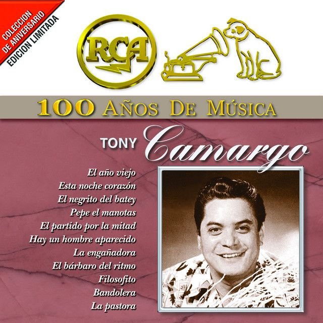 Tony Camargo profile