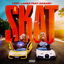 SKAT cover