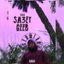 SA3ET GEEB cover
