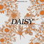 Daisy cover