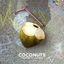 Coconuts cover