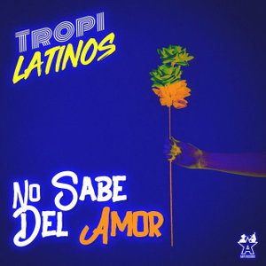 No Sabe del Amor