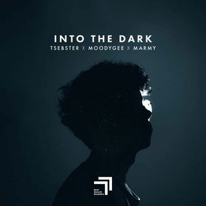 Into the Dark