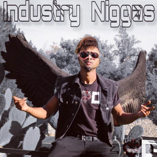 Industry Niggas