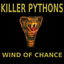 Wind of chance cover