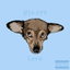 cynical cover