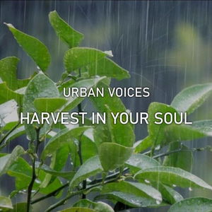 Harvest In Your Soul