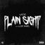 Plain Sight cover