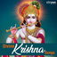 Shri Krishna Govind cover