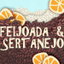 Meu ex amor cover