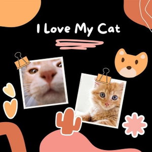 Cat &amp; Mouse