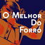 Beija flor cover