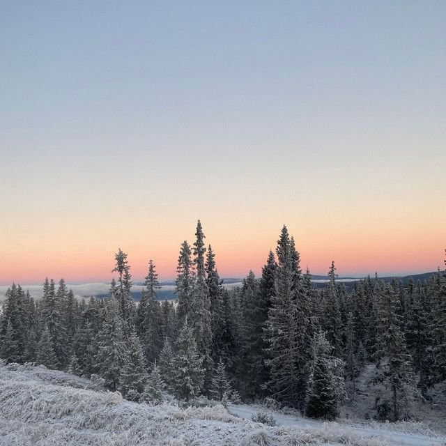 Det er jul