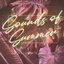 Sonnentanz - Sun Don't Shine cover