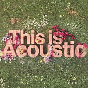 What You Wanted - Acoustic