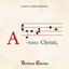 Anima Christi IV cover