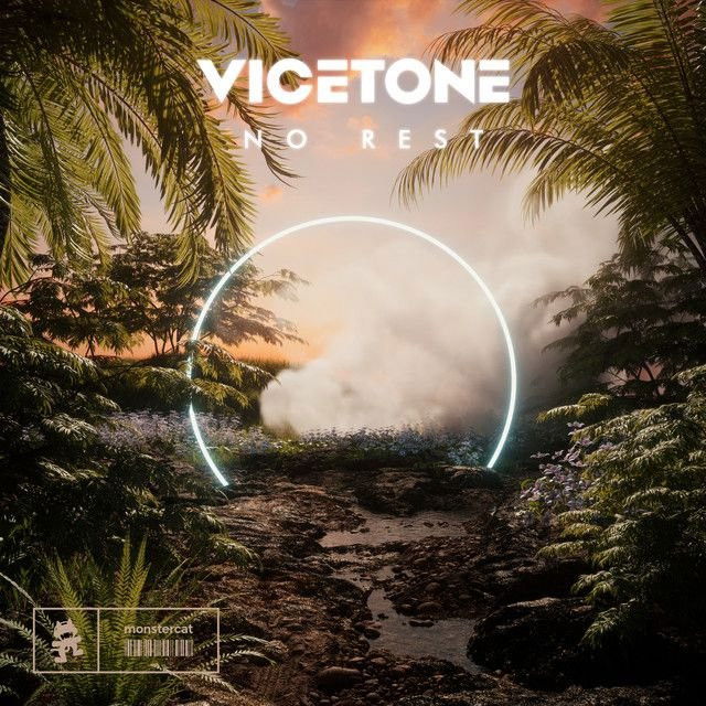 Vicetone profile