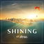 Shining cover