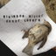 Never Lovers cover