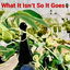 What It Isn't So It Goes cover