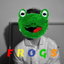 Ugly Frog cover
