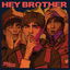 Hey Brother cover