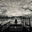 Swimming cover