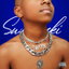 Intro cover