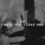 I Hate You, I Love You cover