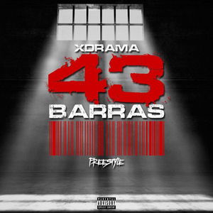 43 BARRAS