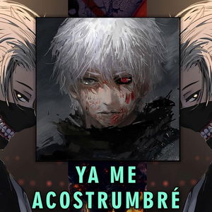 Ya me acostumbré