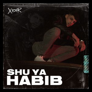 Shu ya habib