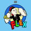 Flex cover