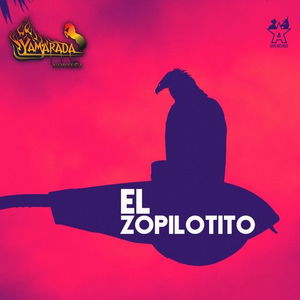 El Zopilotito