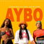 Aybo cover