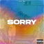 Sorry cover