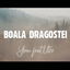 Boala Dragostei cover