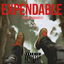 Expendable cover