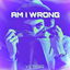 Am I Wrong cover