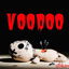 Voodoo cover