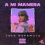 A mi manera cover