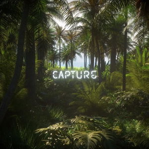 Capture