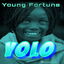 Yolo cover