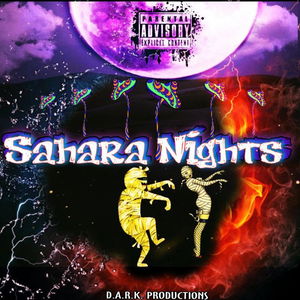 Sahara Nights