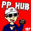 PP Hub cover