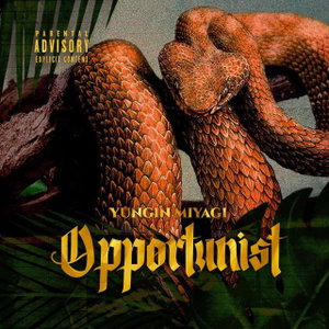 Opportunist