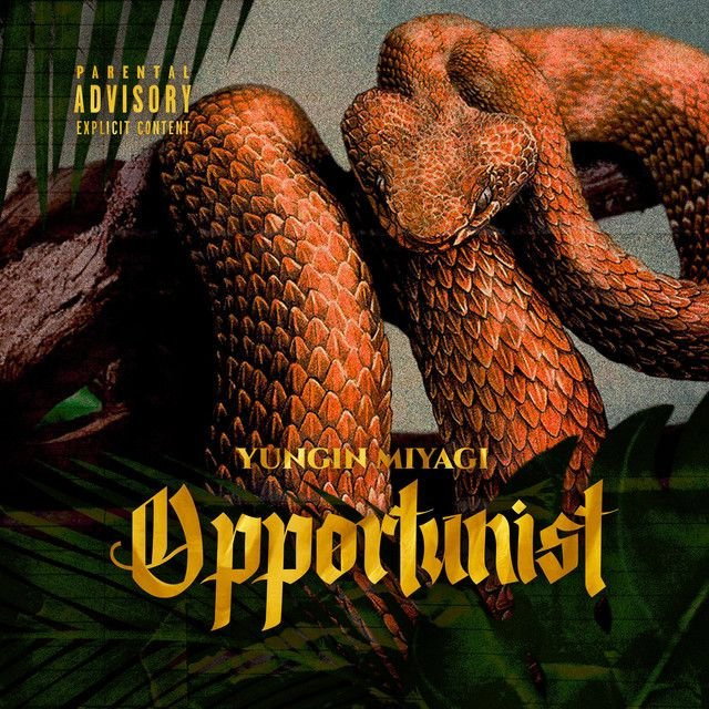 Opportunist